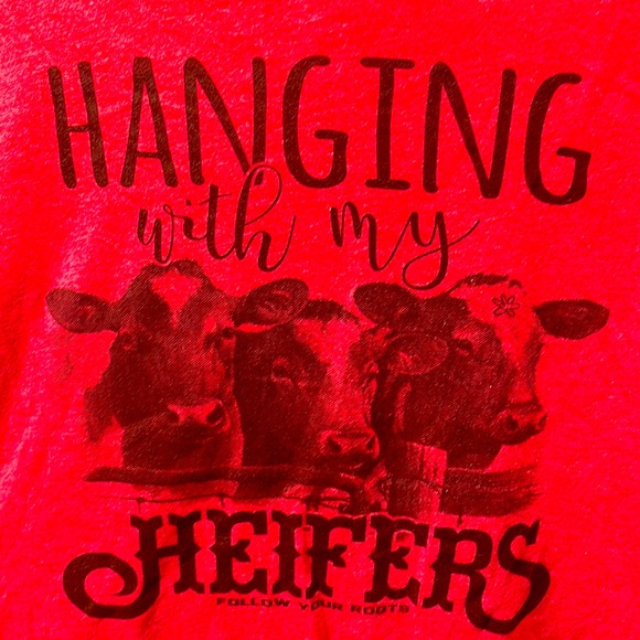 Bella-Canvas “hanging with my heifers follow your roots”tee xl. - Picture 2 of 4